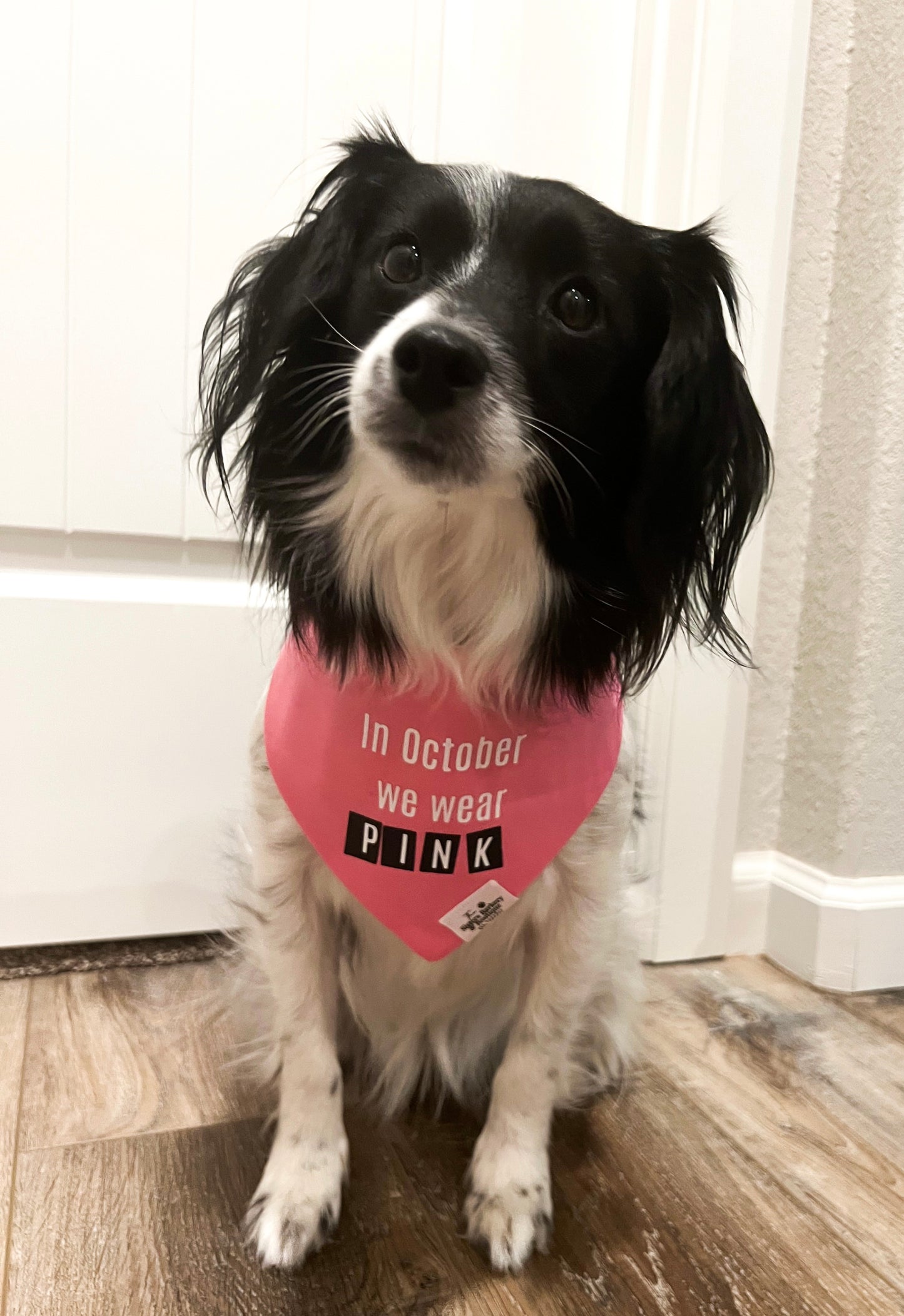 “In October we wear pink” bandana