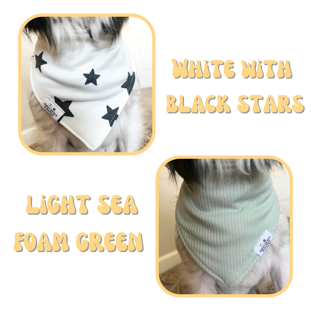You’re a star bandana with matching treats