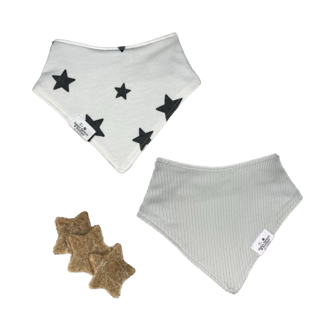 You’re a star bandana with matching treats