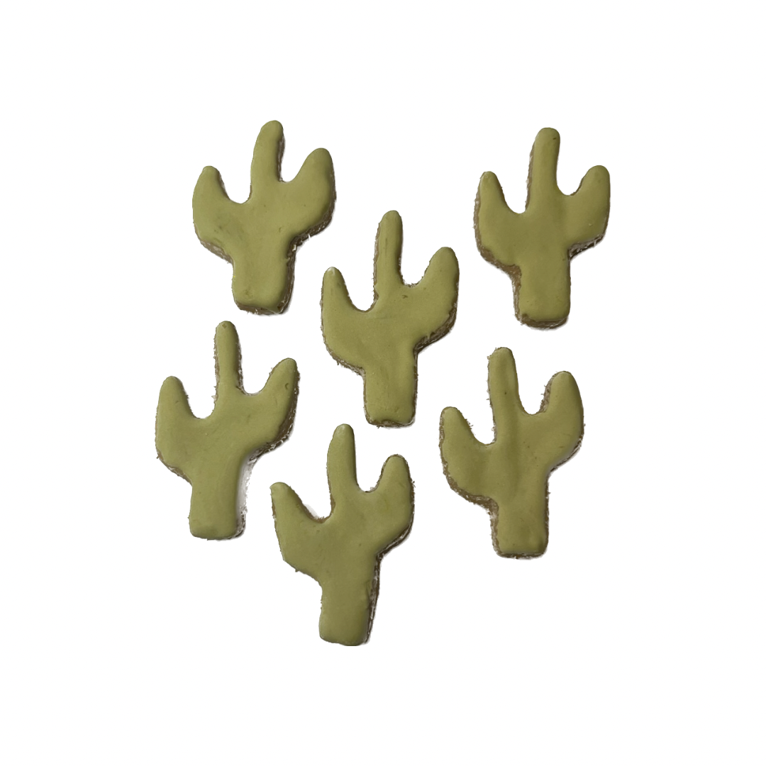 Iced cactus - howdy collection